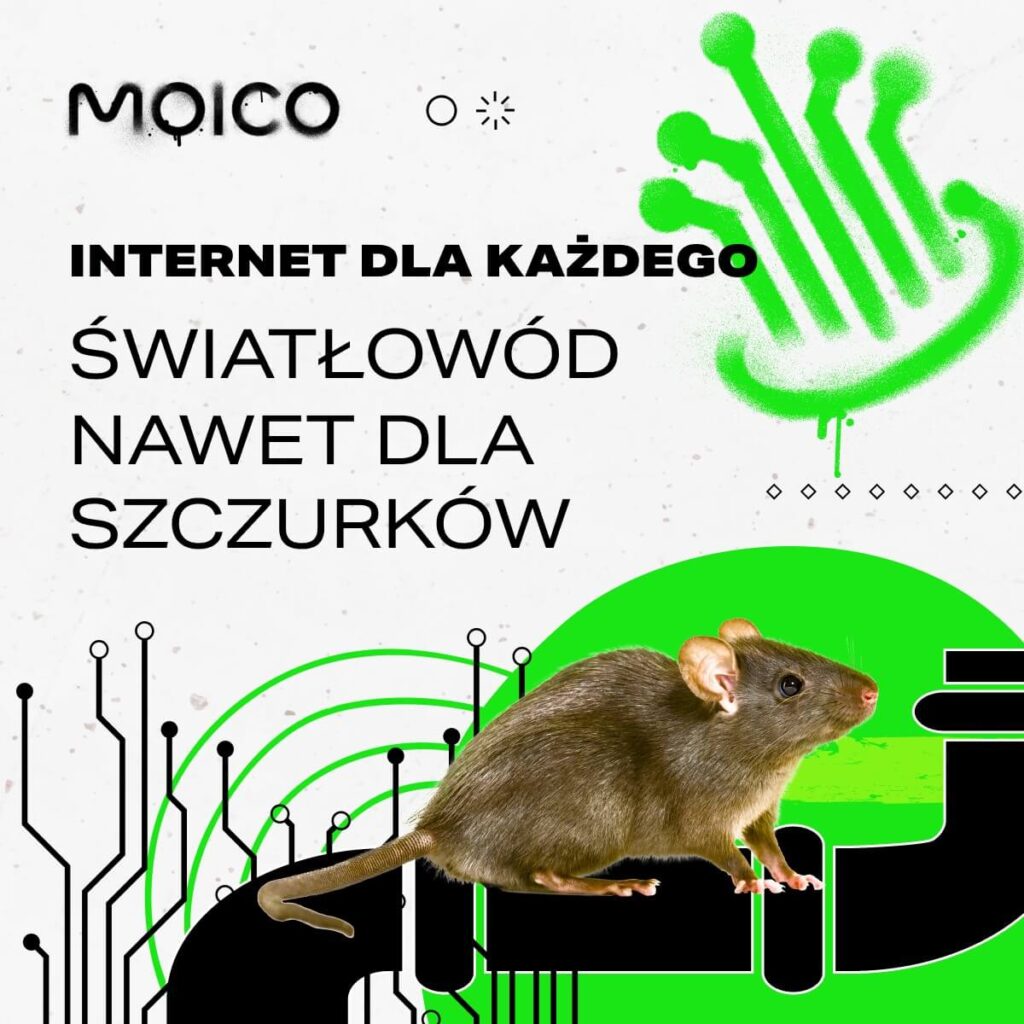 Internet we Wrocławiu, śródmieście. Internet światłowodowy dla każdego.