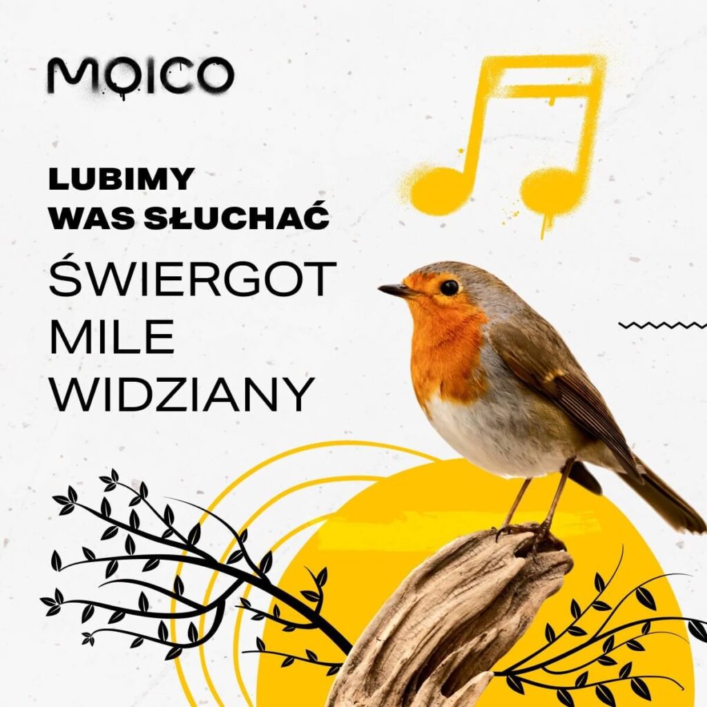 Zdjęcie przedstawia baner z hasłem: ,,lubimy Was słuchać, świergot mile widziany". Na grafice widoczny ptak rudzik. Internet Wrocław Psie Pole 