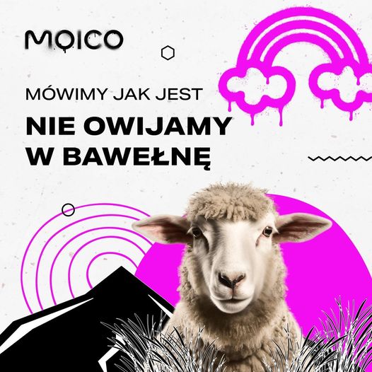 Zdjęcie przedstawia baner z hasłem: ,,Mówimy jak jest, nie owijamy w bawełnę". Na grafice widoczna owca. Internet Wrocław Psie Pole. 
