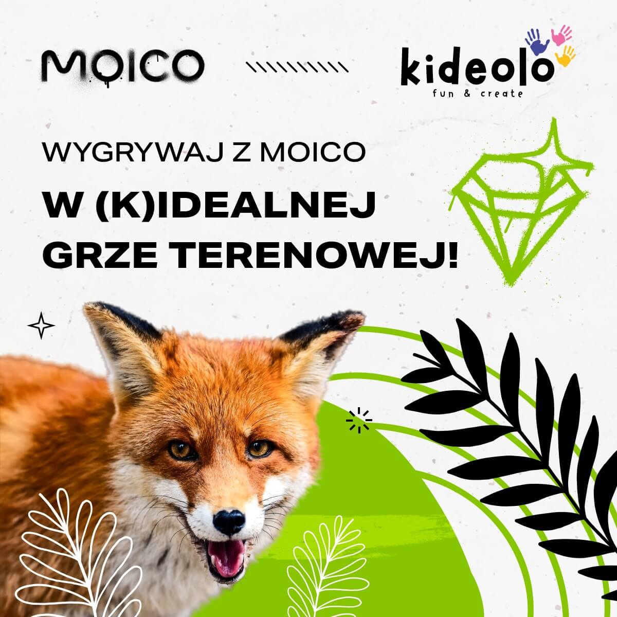 Zdjęcie poglądowe przedstawiające zespół Moico