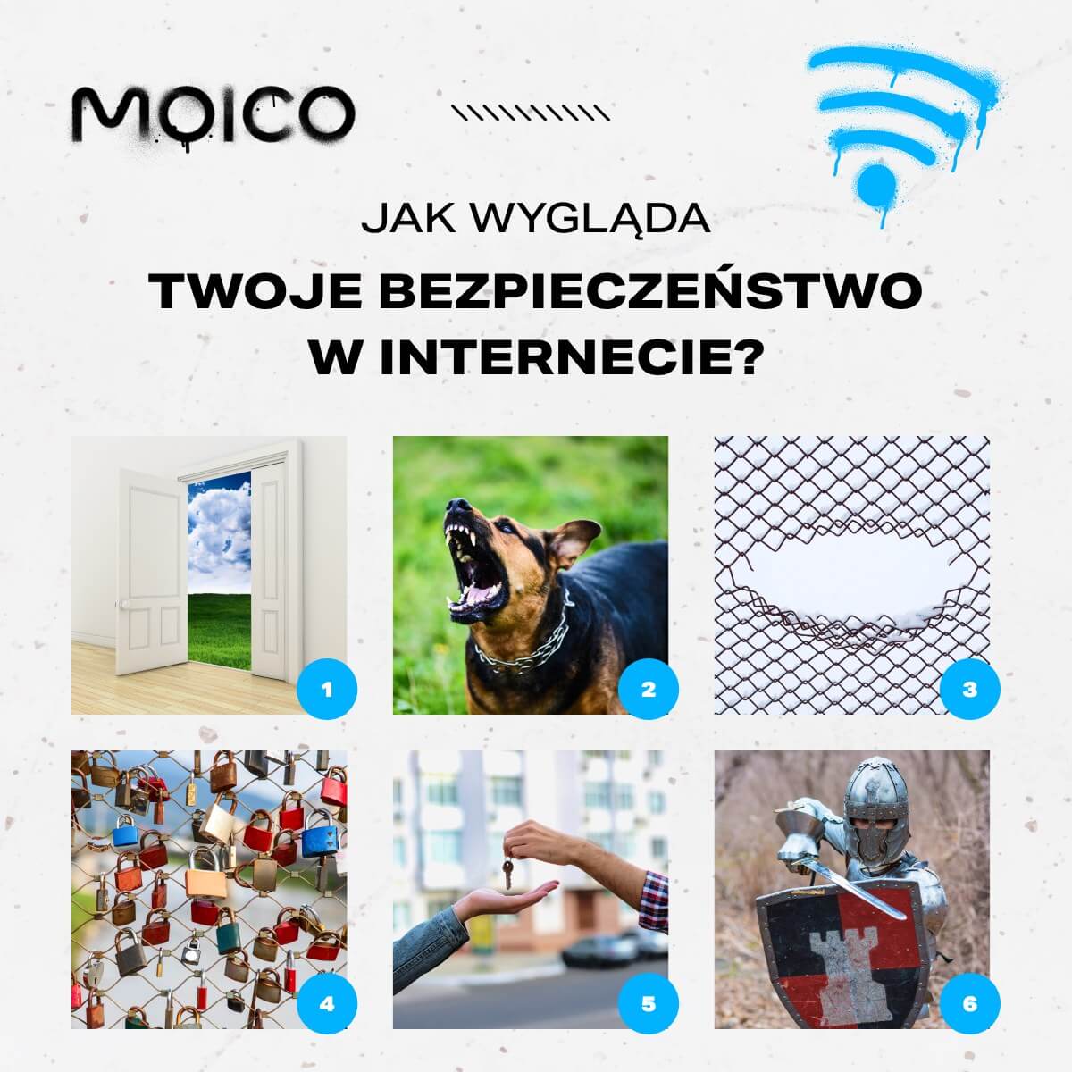 Zdjęcie poglądowe przedstawiające zespół Moico