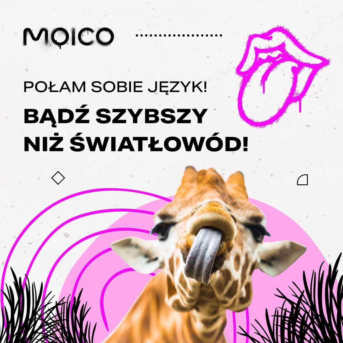 Zdjęcie poglądowe przedstawiające zespół Moico