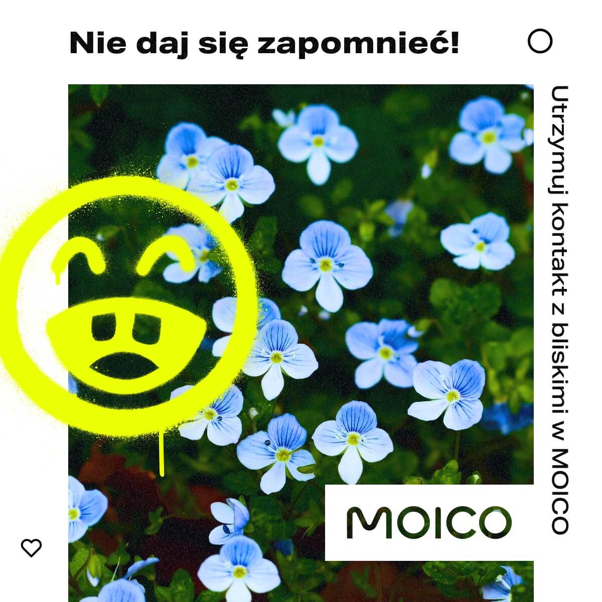 Grafika przedstawia reklamę firmy MOICO. W tle widać piękne, drobne niebiesko-białe kwiaty, a na nich narysowaną żółtą buźkę ze świńskim noskiem. Na górze widnieje tekst: ,,Nie da się zapomnieć!'', a po prawej stronie napis: ,,Utrzymuj kontakt z bliskimi w MOICO''. W prawym dolnym rogu widoczne logo firmy MOICO. 